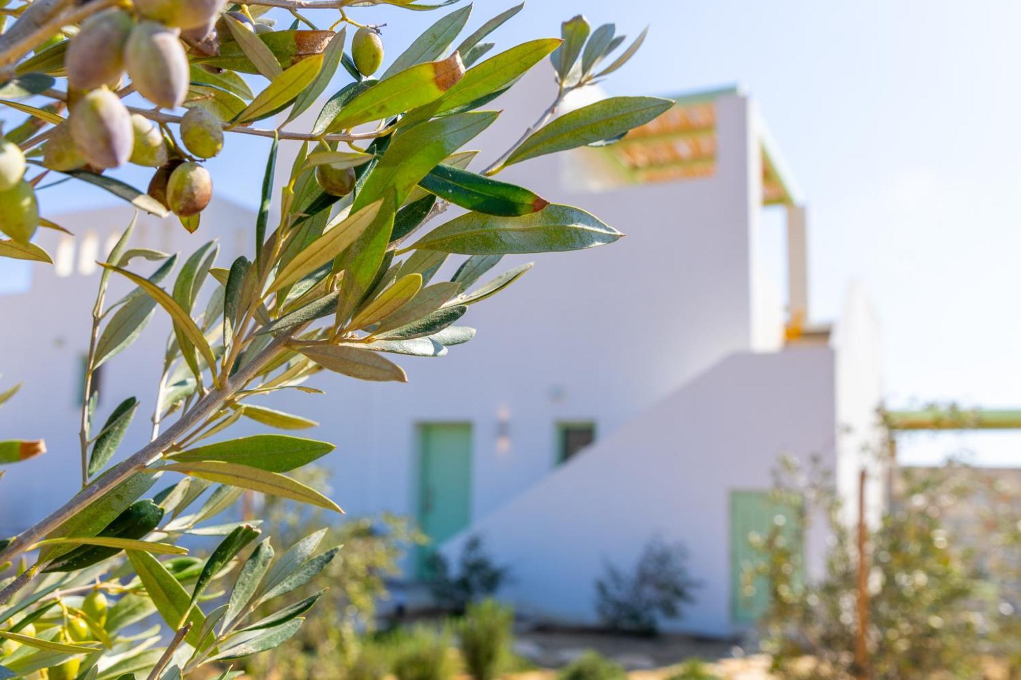Plioni Villas & Suites ميكري فيغلا المظهر الخارجي الصورة