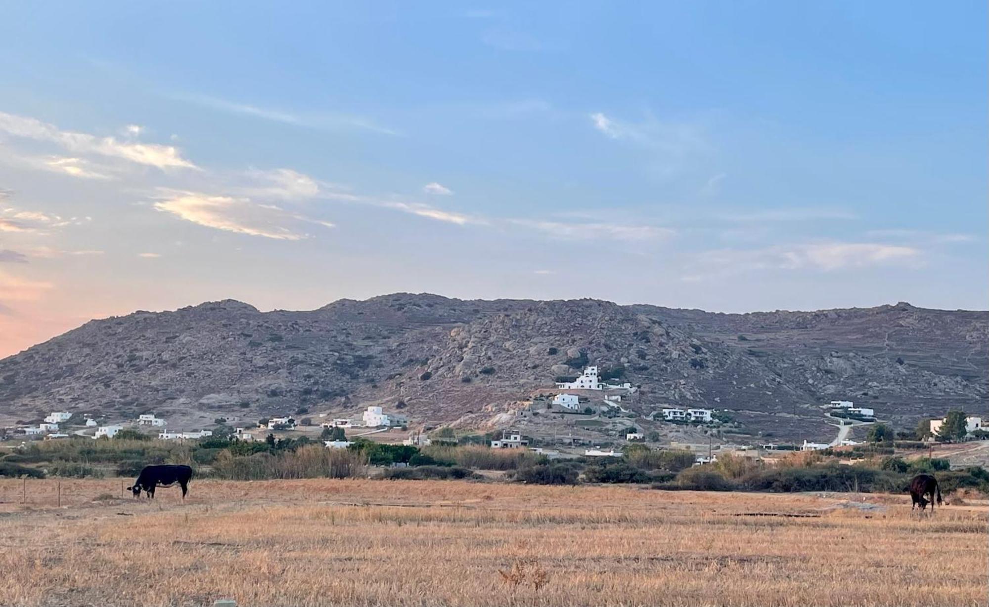Plioni Villas & Suites ميكري فيغلا الغرفة الصورة