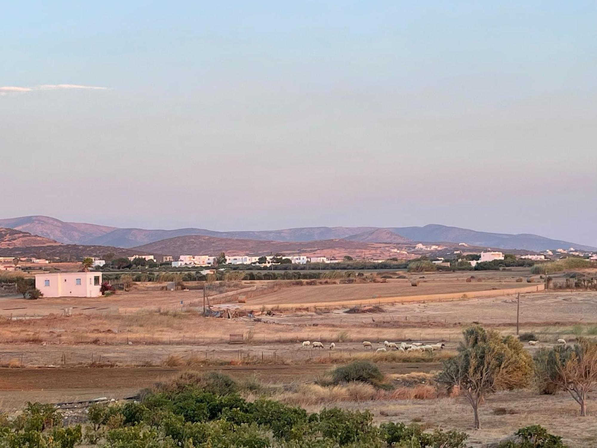 Plioni Villas & Suites ميكري فيغلا الغرفة الصورة